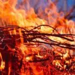Fuego intenso en matorrales y ramas secas en un bosque.