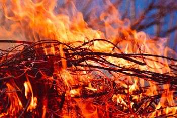 Fuego intenso en matorrales y ramas secas en un bosque.