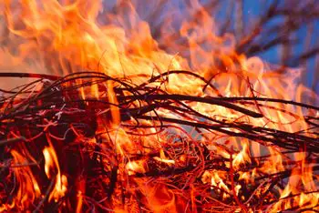 Fuego intenso en matorrales y ramas secas en un bosque.